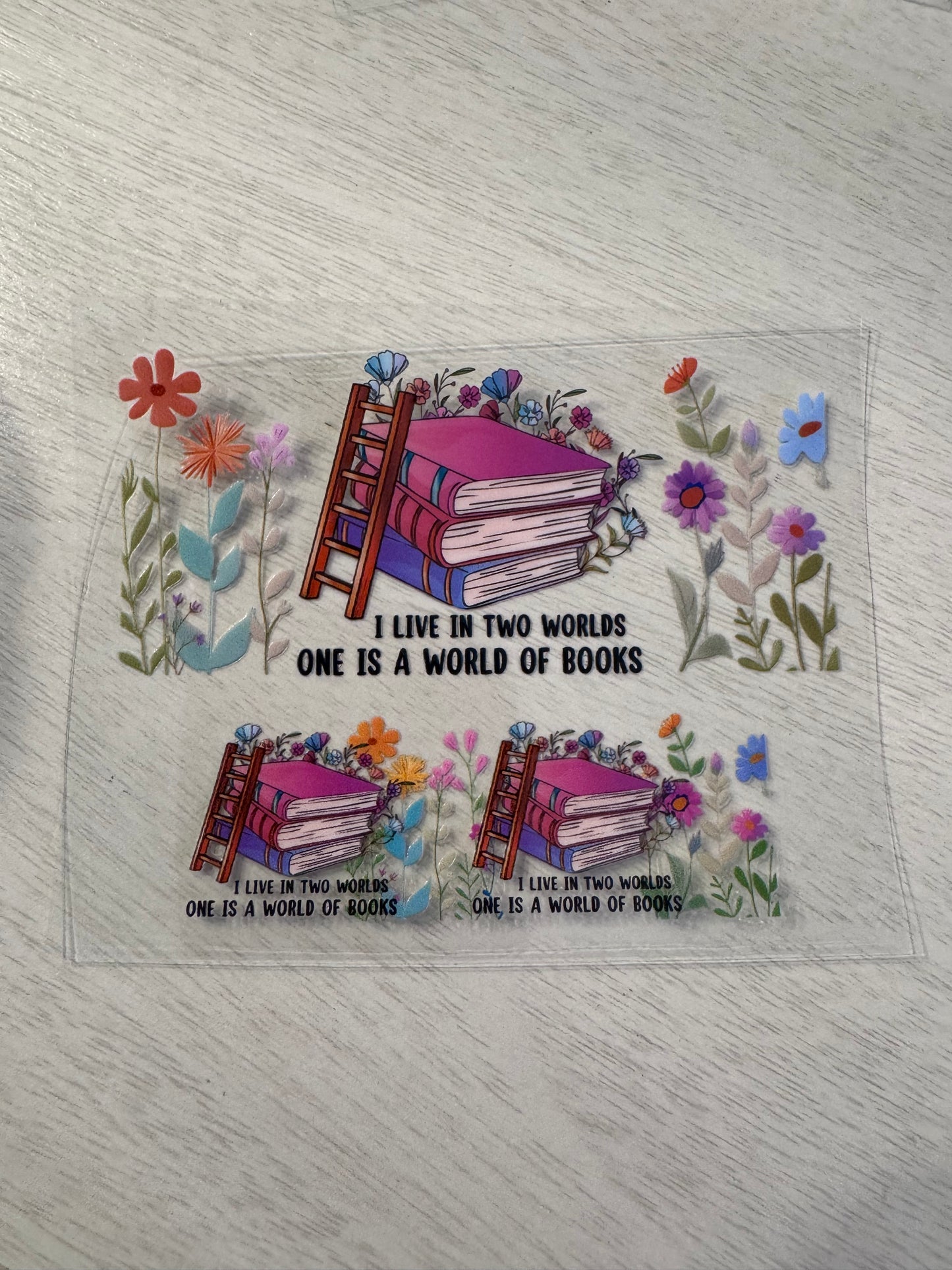 I live in two worlds, one is a World of books