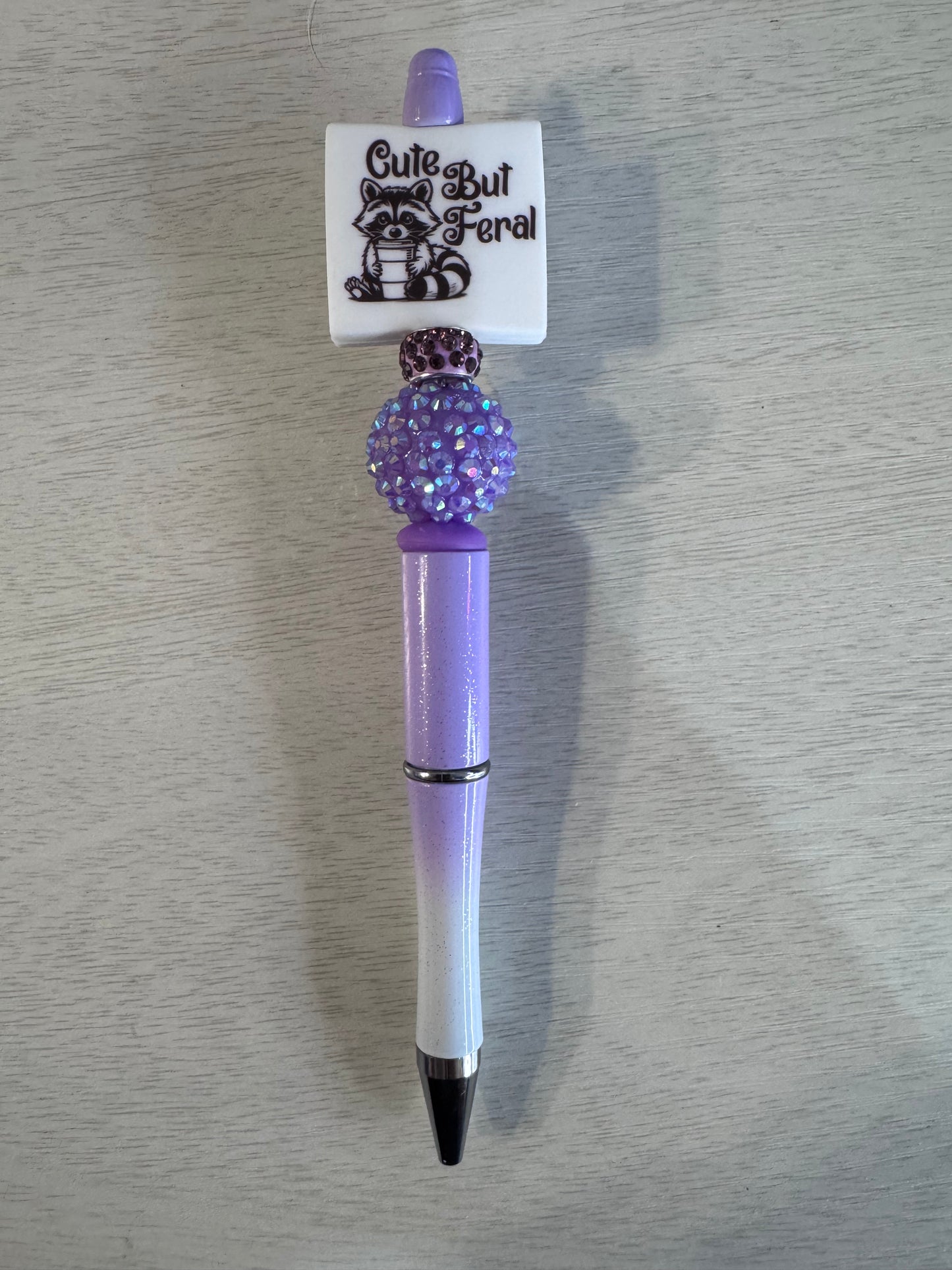 Cute but feral raccoon