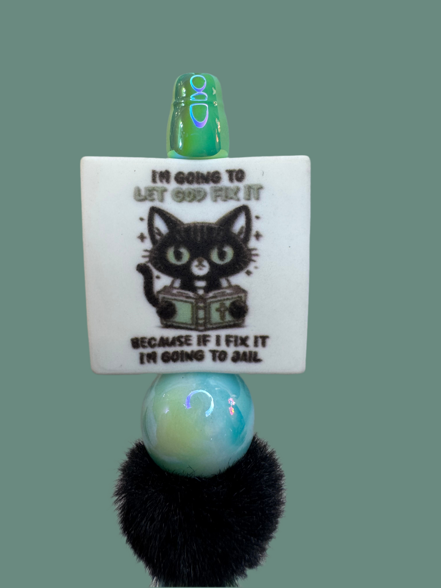 I’m gonna let god fix it, because if I fix it I’m going to jail cat with book