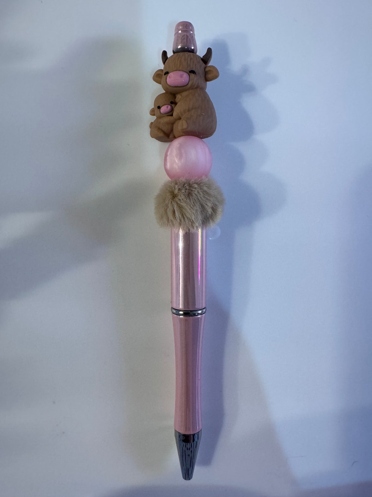 Mother and baby highland cow